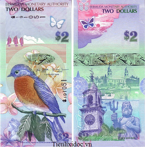 2 Dollar Bermuda