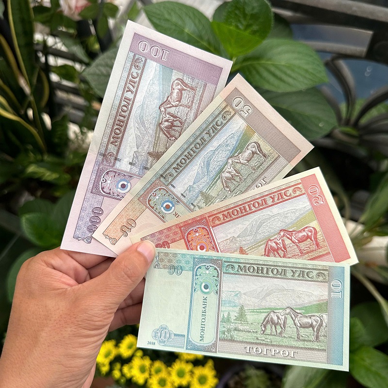Bộ 4 Tờ Tiền Con Ngựa Mông Cổ Lì Xì Tết Bính Ngọ 2026