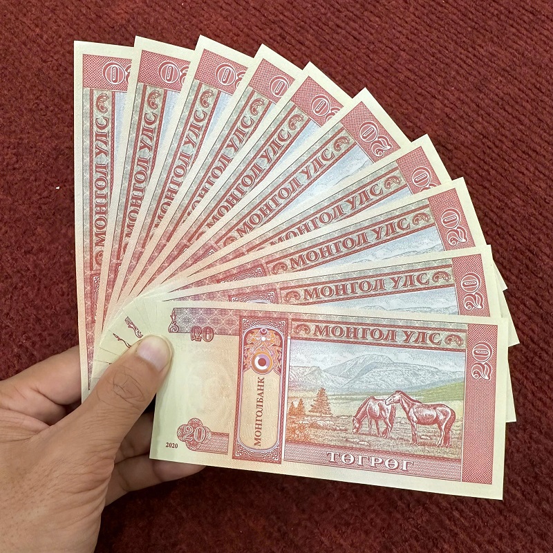 Combo 10 Tờ Tiền Ngựa Mông Cổ 20 Tugrik – Tiền Thật Lì Xì Tết Bính Ngọ 2026 Phong Thủy May Mắn