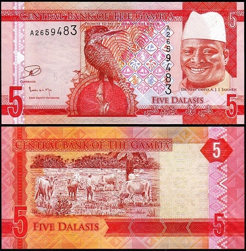Gambia 5 dalasis