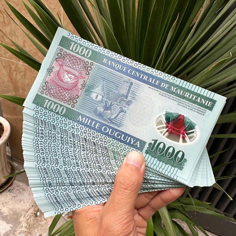 TÉP 100 TỜ TIỀN MAURITANIA 1000 OUGUIYA POLYMER – LÌ XÌ ĐẲNG CẤP & SƯU TẦM TÉP 100 TỜ TIỀN MAURITANIA 1000 OUGUIYA POLYMER – LÌ XÌ ĐẲNG CẤP & SƯU TẦM