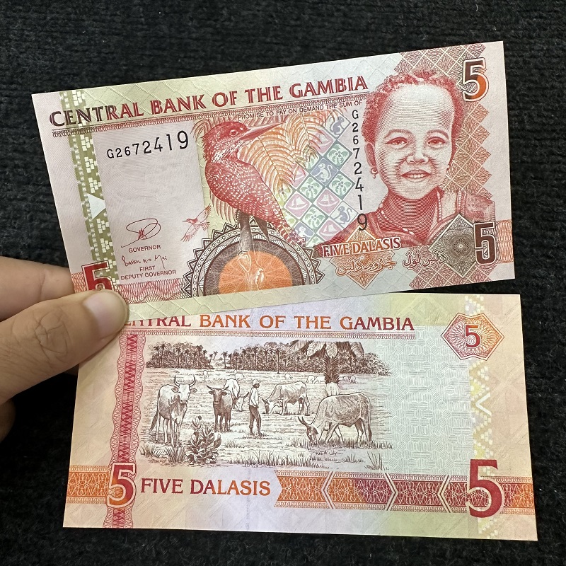 Tiền Gambia 5 Dalasis UNC