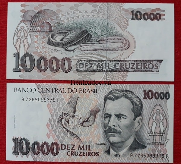 Tiền Lì Xì Người Tuổi Rắn - Tiền Brazil