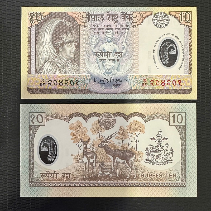 Tiền Nepal 10 Rupees - Polymer