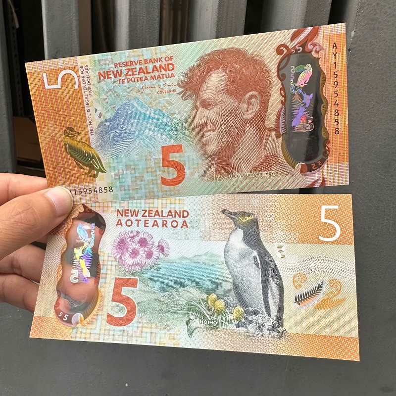 Tờ Tiền 5 Đô New Zealand Polymer - Top 10 Tờ Tiền Đẹp Nhất Thế Giới